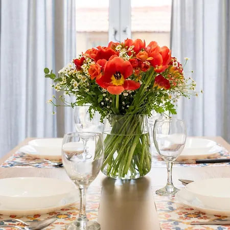 Apartment Sognanapoli