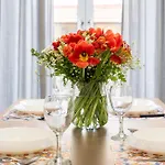 Appartement Sognanapoli